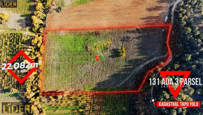 LİDER GYO BAYRAMİ&Ccedil; &Ccedil;AVUŞLU 22.082 m2 BAĞ TAPUSU KA&Ccedil;MAZ FIRSAT