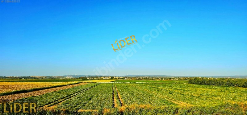 &Ccedil;ANAKKALE MERKEZ TEVFİKİYE K&Ouml;Y&Uuml;NDE 1.565 M2 FIRSAT TARLA !!!!