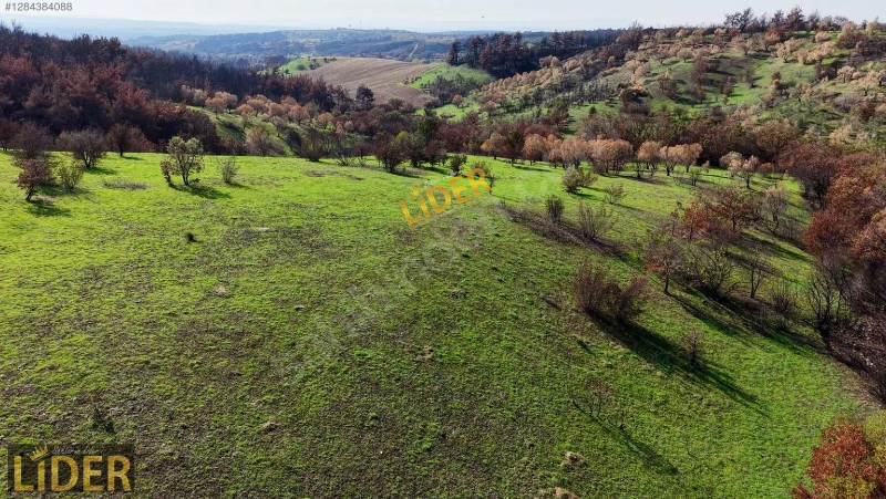 LİDER GYO BAYRAMİ&Ccedil; DOĞANCI K&Ouml;Y&Uuml; 27.000 m&sup2; YOLA CEPHE TARLA