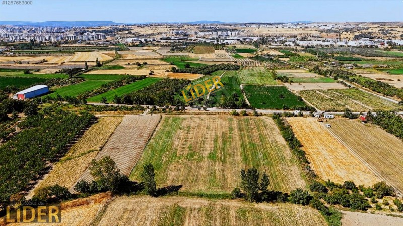 LİDER GYO &Ccedil;ANAKKALE SARAYCIK ASFALT CEPHE 11.756 m2 İMAR DİBİ