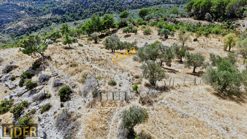 LİDER GYO ASSOS ARIKLI 6.670 m2 FULL DENİZ &Ccedil;İTLE &Ccedil;EVRİLİ