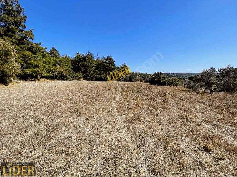 LİDER GYO ECEABAT BEHRAMLI 3.067 m2 KELEPİR YATIRIMLIK TARLA