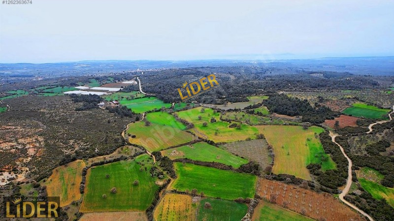 LİDER GYO GEYİKLİ G&Ouml;K&Ccedil;EBAYIR 10.700 m2 BAĞ EVİ İMARLI &Ccedil;İFTLİK