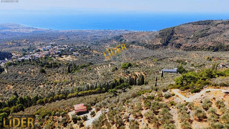 LİDER GYO ALTINOLUK AVCILAR'DA FULL DENİZ MANZARALI YOLA CEPHE